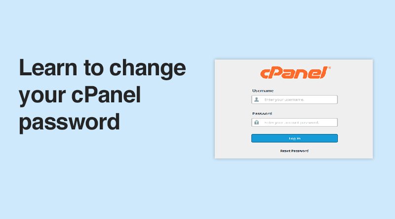 cPanel Password